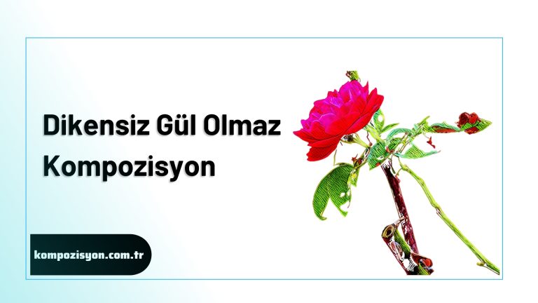 Dikensiz Gul Olmaz