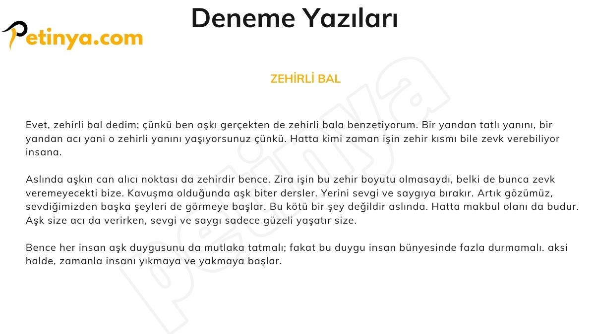 Deneme Örnekleri - Deneme Yazıları ZEHİRLİ BAL