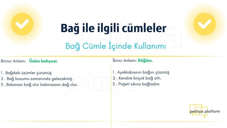 Bağ Kelimesi ile ilgili Cümleler