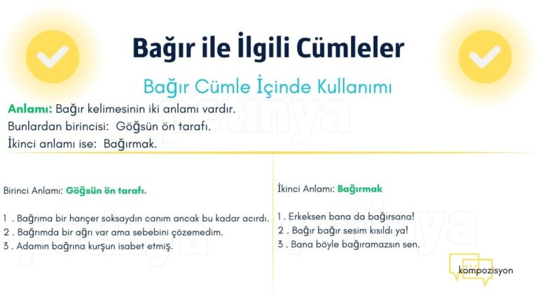 Bağır Kelimesi ile İlgili Cümleler