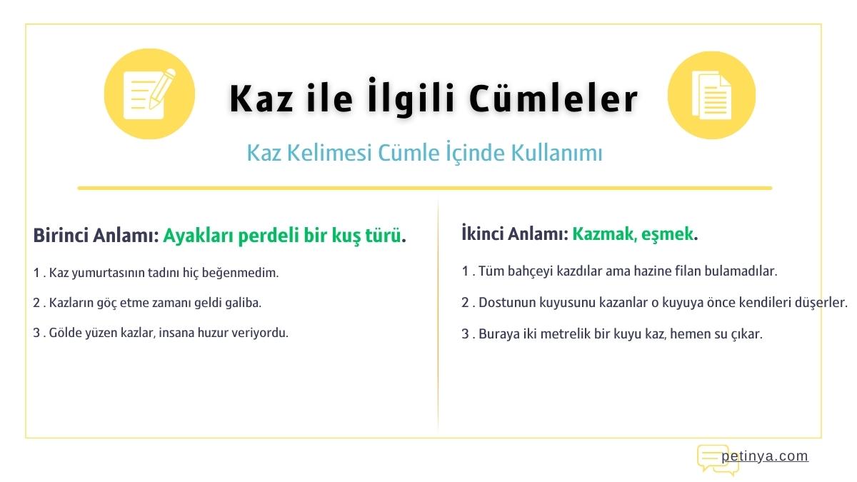 kaz ile ilgili cumleler