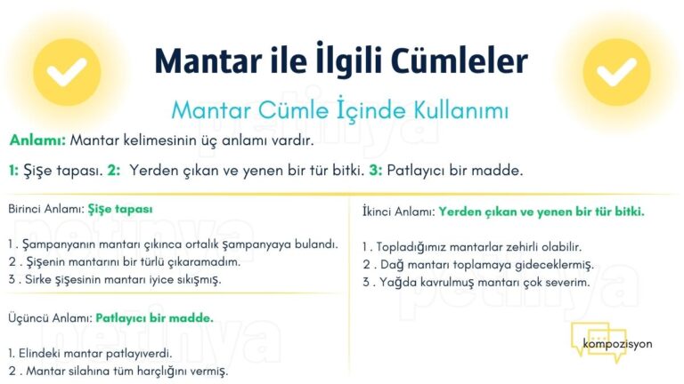 Mantar ile İlgili Cümleler