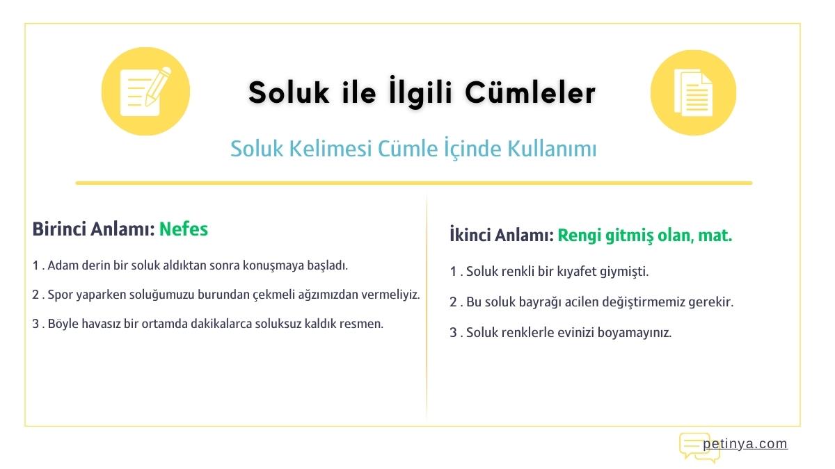 soluk ile ilgili cumleler