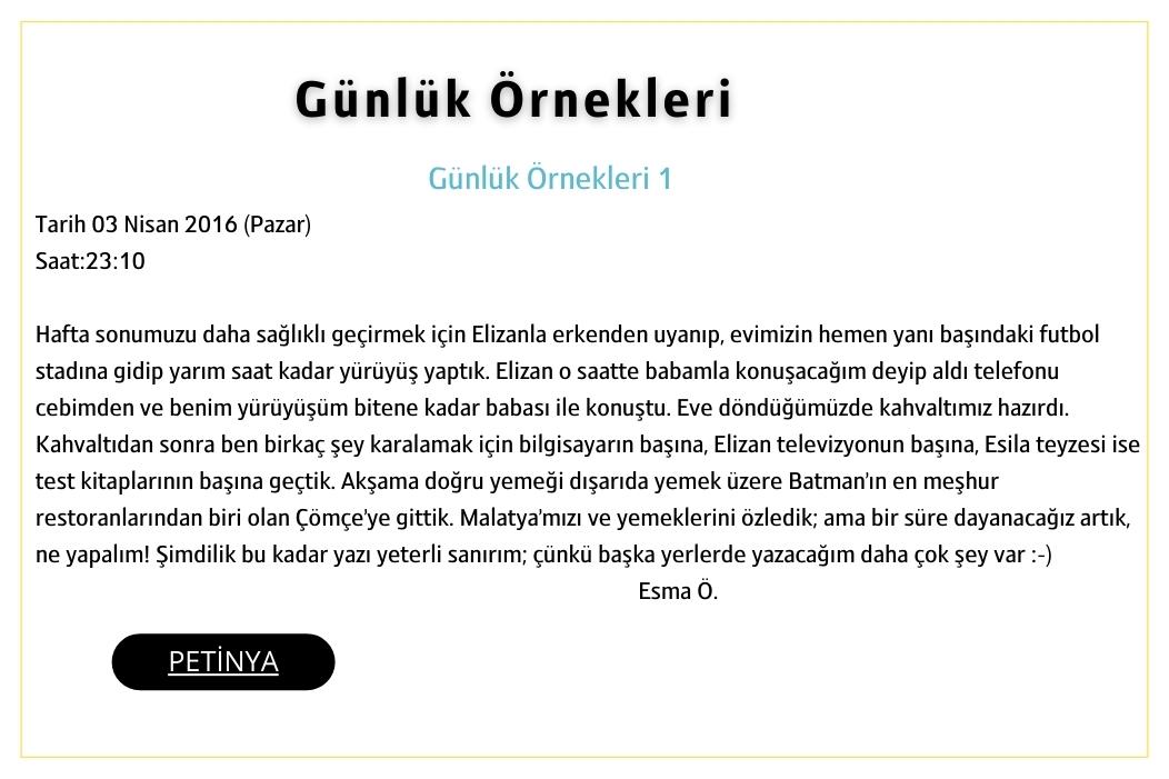 gunluk ornekleri 1