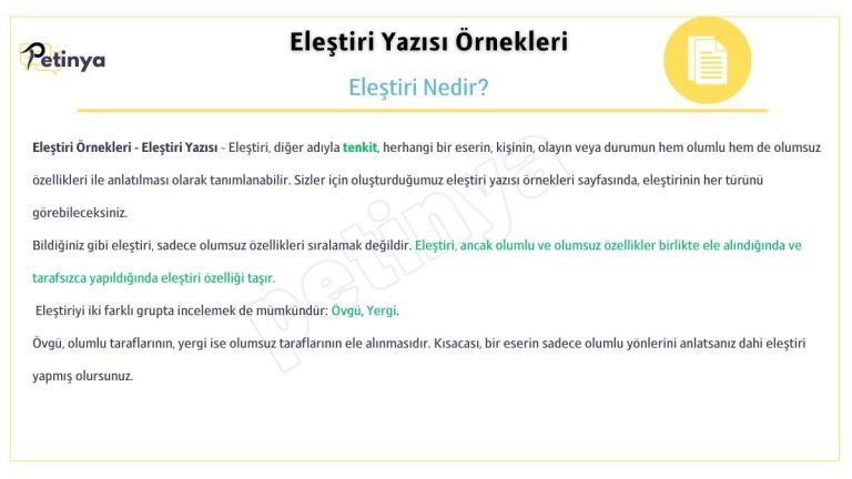 elestiri nedir