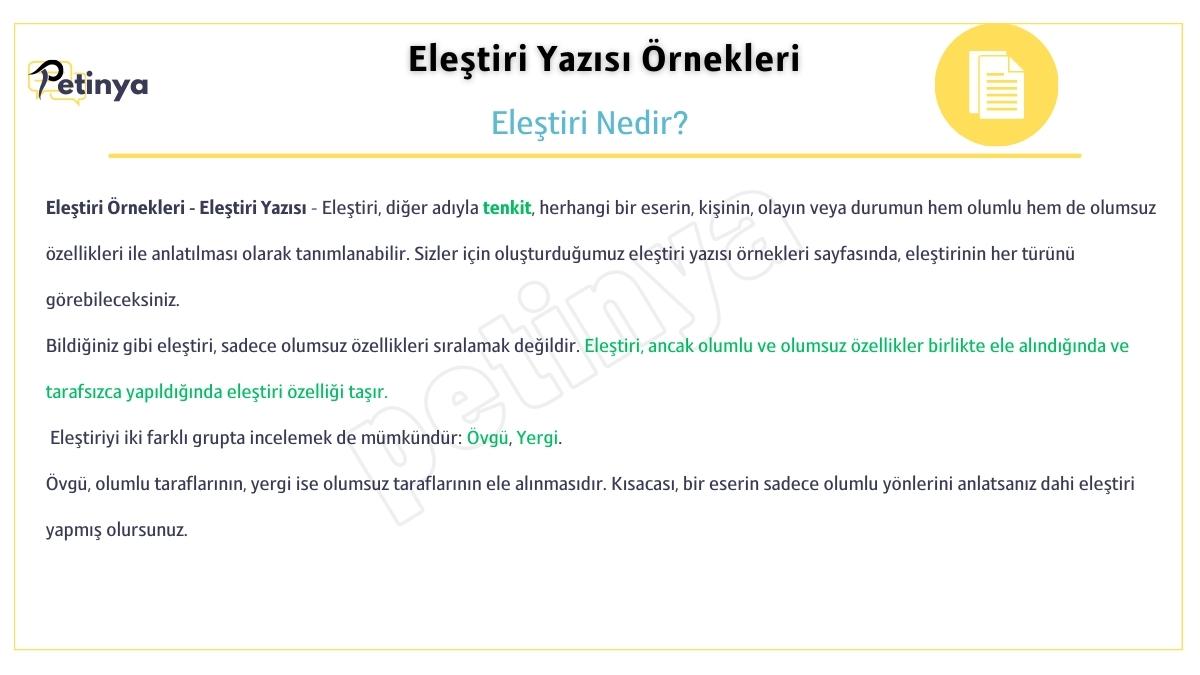 elestiri nedir