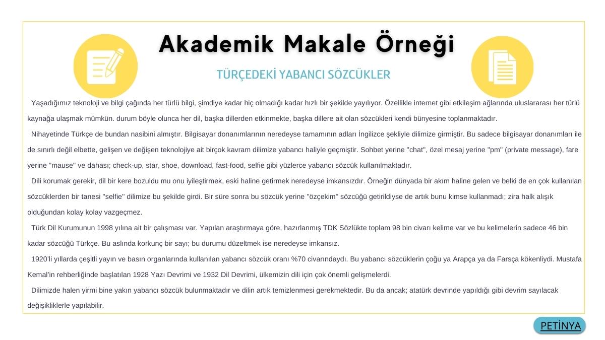 akademik makale ornegi