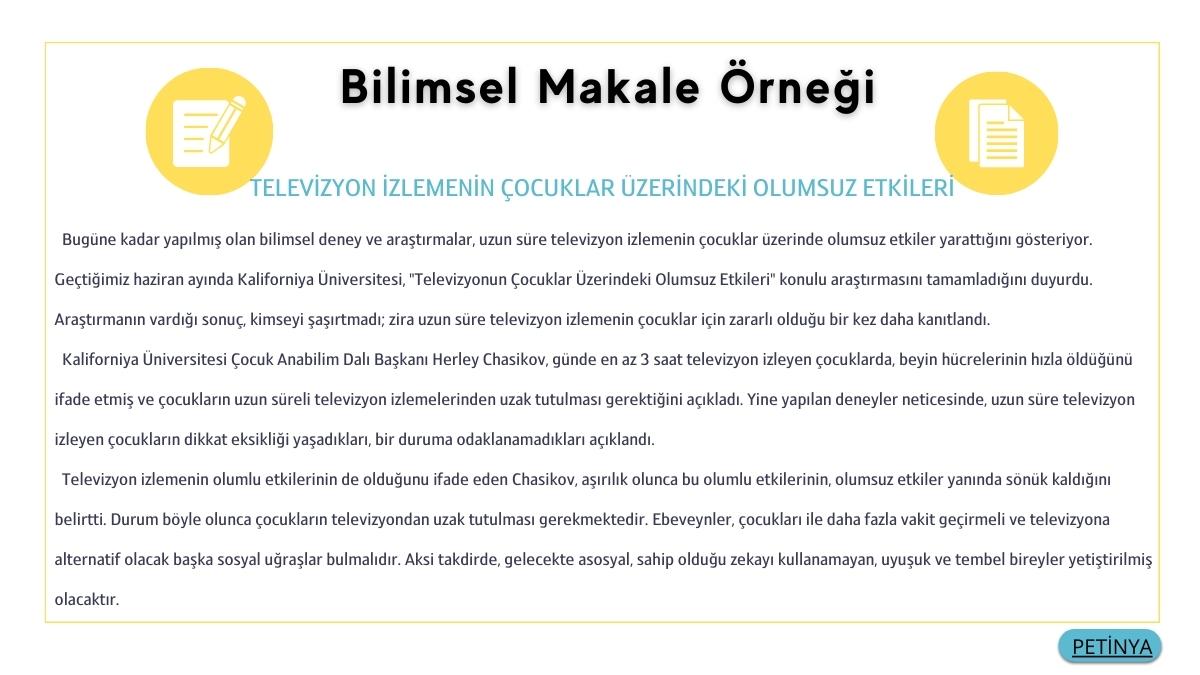 bilimsel makale ornegi