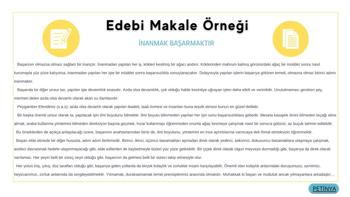 edebi makale ornegi