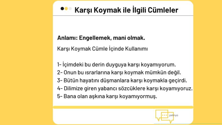 karsi koymak ile ilgili cumleler