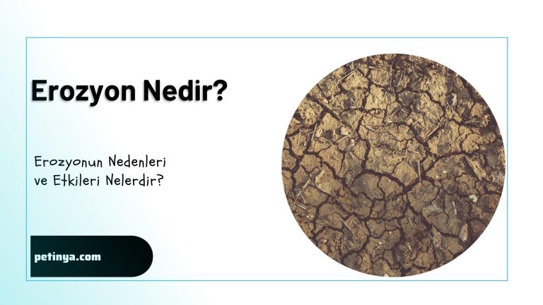 Erozyon nedir