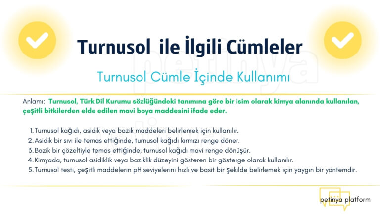 Turnusol İle İlgili Örnek Cümleler